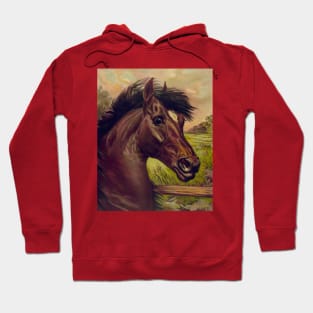 Horse Hoodie